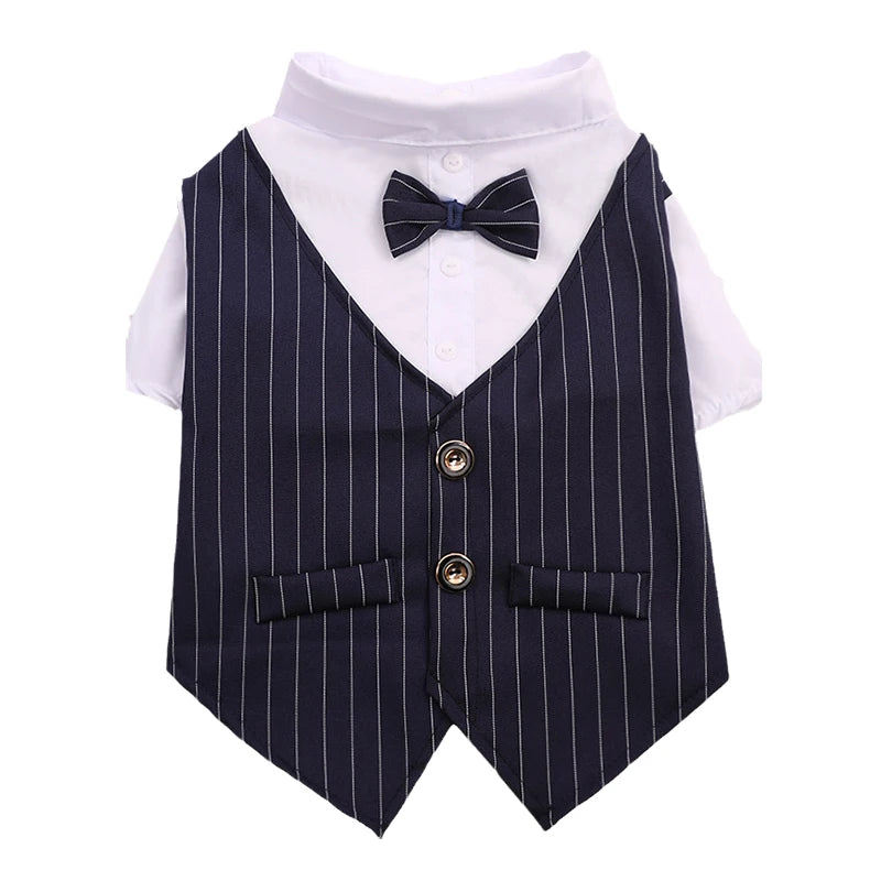 The Sovereign Suit
